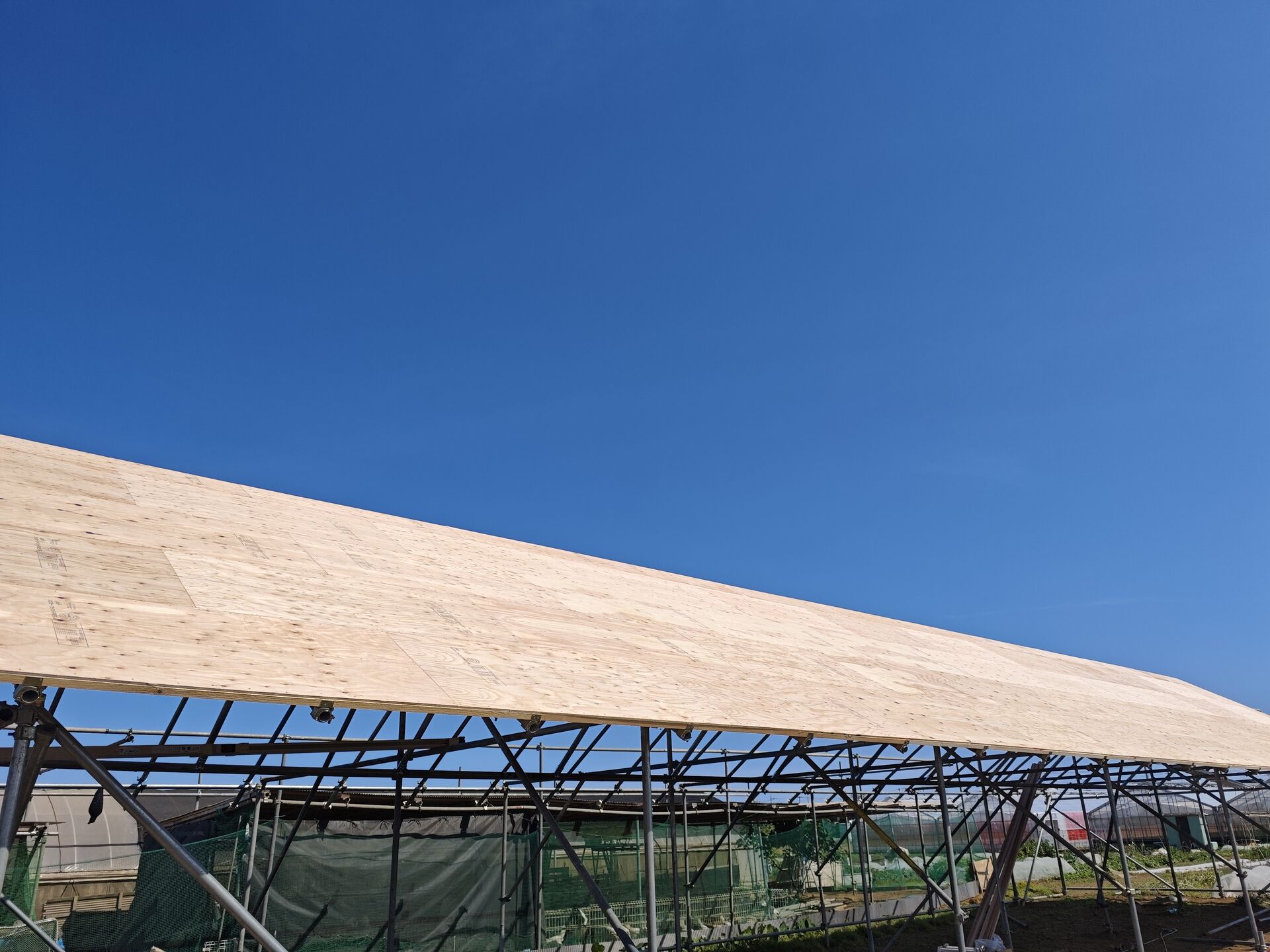 鶏舎製作工事　片屋根側の野地板施工完了